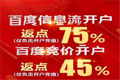 成功案例：SEM竞价托管的策略与效果